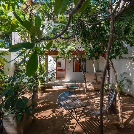 Hotel Villa Mozart Y Macondo-2